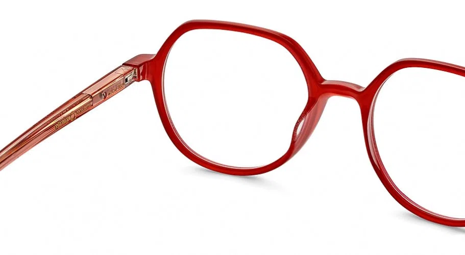 Etnia Barcelona ROBIN Eyeglasses - view 18